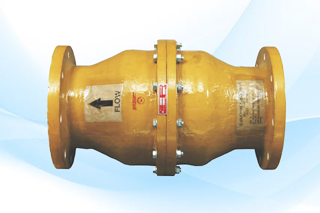 Check Valve