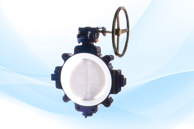 Lined Butterfly Valve