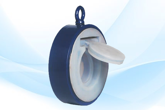 Lined Swing Check Valve