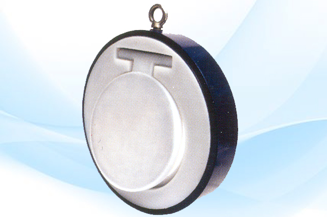 Lined Swing Check Valve